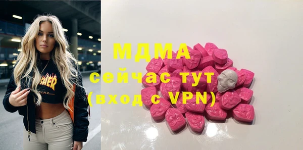 МДПВ Бородино