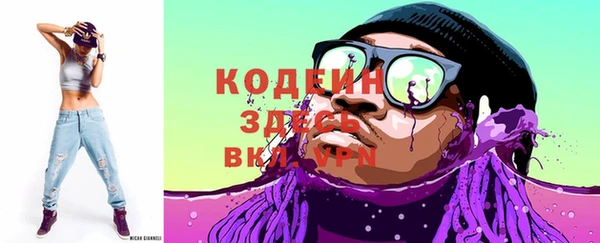 МДПВ Бородино