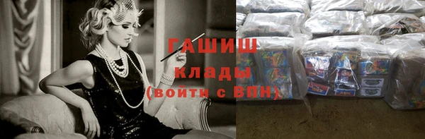 МДПВ Бородино