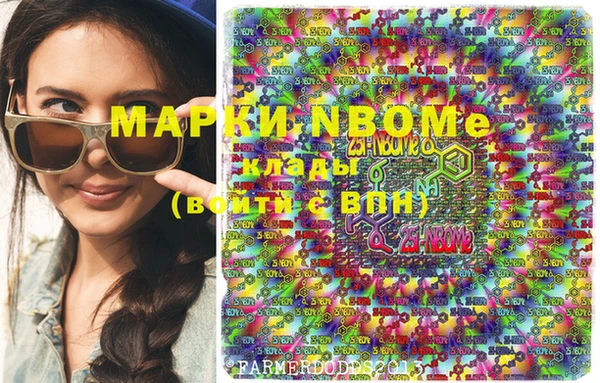 прущие грибы Бронницы