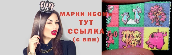 МДПВ Бородино