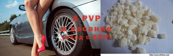 прущие грибы Бронницы