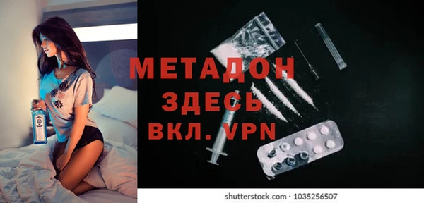 прущие грибы Бронницы