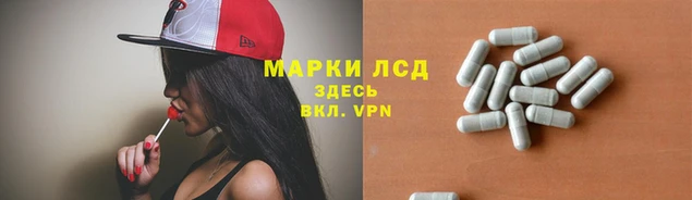 прущие грибы Бронницы