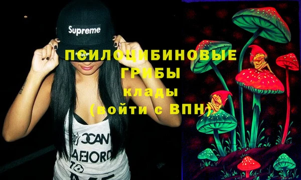 прущие грибы Бронницы