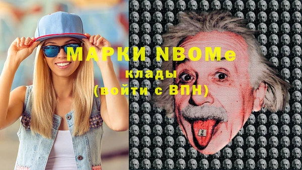 прущие грибы Бронницы