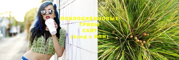МДПВ Бородино