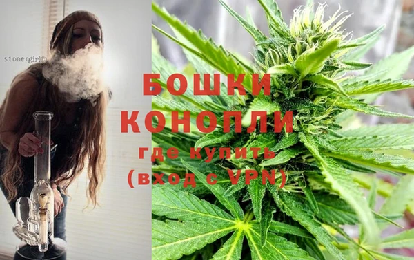 прущие грибы Бронницы