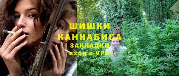 МДПВ Бородино