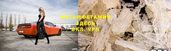 прущие грибы Бронницы